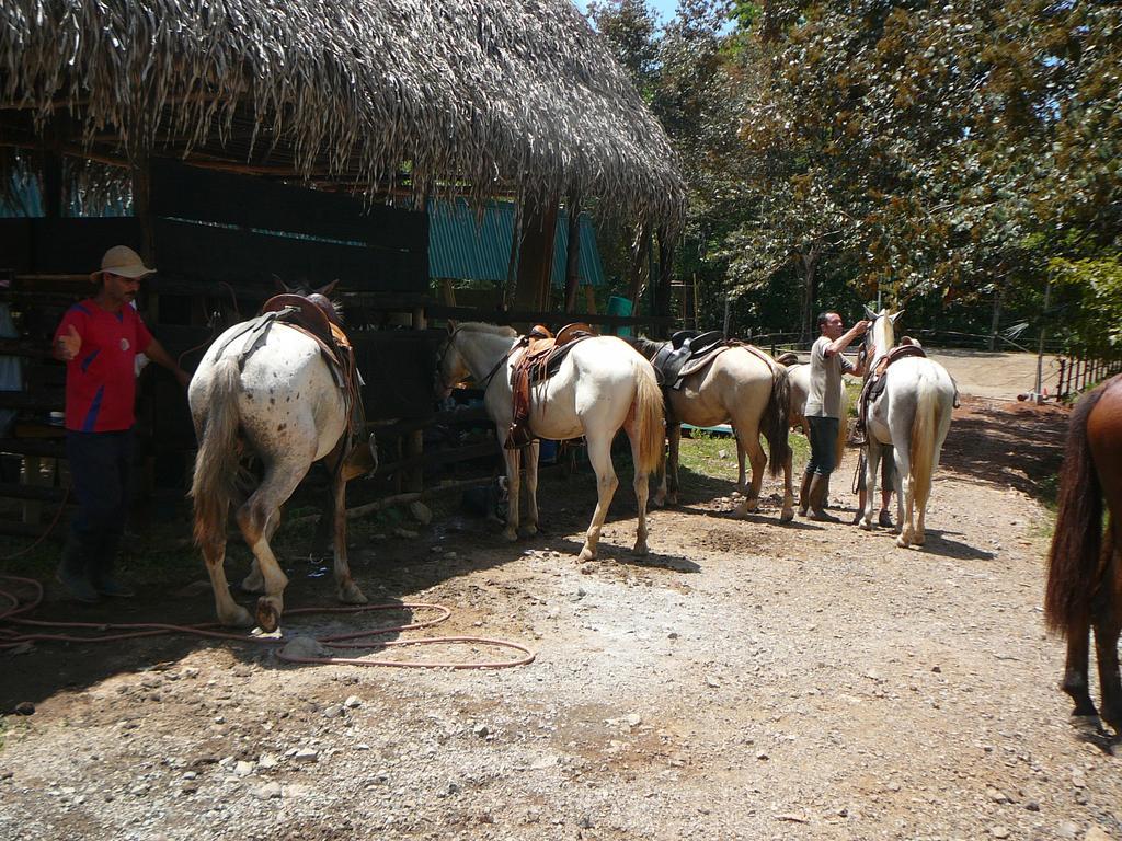 Casas Buenas Brisas Ojochal Quarto foto
